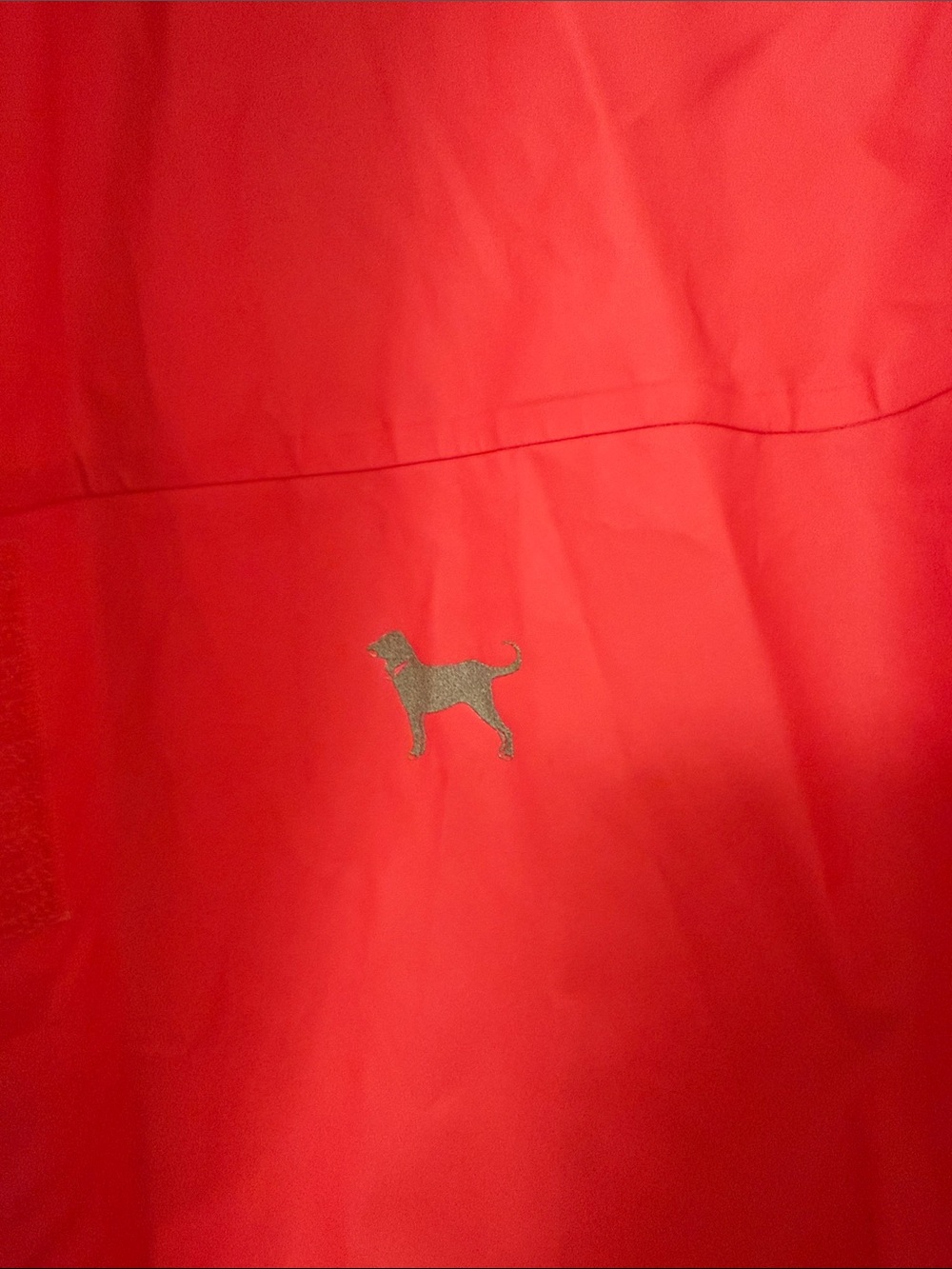 The Black Dog Pink Hooded Rain Jacket - Picture 2 of 7